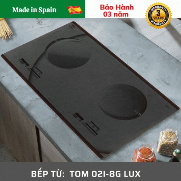 Bếp từ Tomate 02I-8G LUX