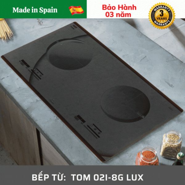 Bếp từ Tomate TOM 02I-8G-LUX