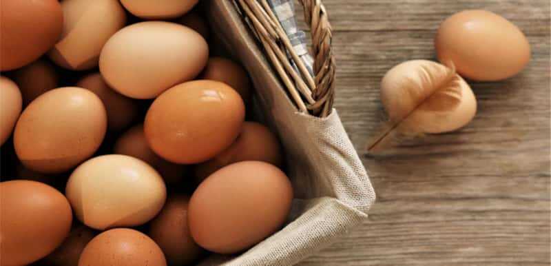trứng - thực phẩm dinh dưỡng