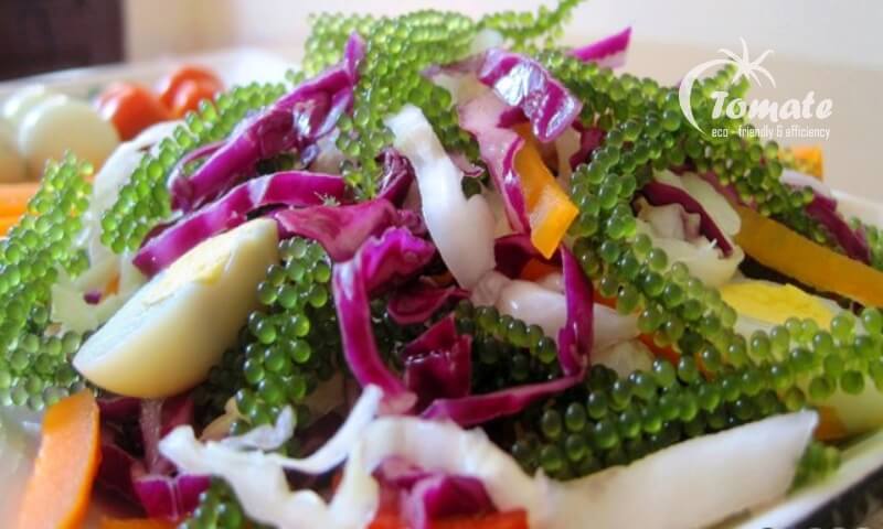 Salad rong nho giảm cân hiệu quả
