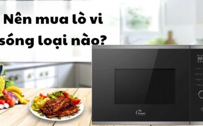 nên mua lò vi sóng loại nào tốt