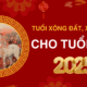 tuổi xông đất 1978 Mậu Ngọ