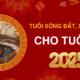 Tuổi xông đất cho gia chủ 1989 Kỷ Tỵ