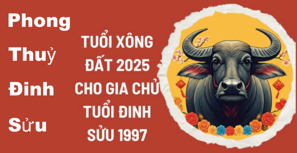 Tuổi xông đất cho gia chủ tuổi 1997 Đinh Sửu