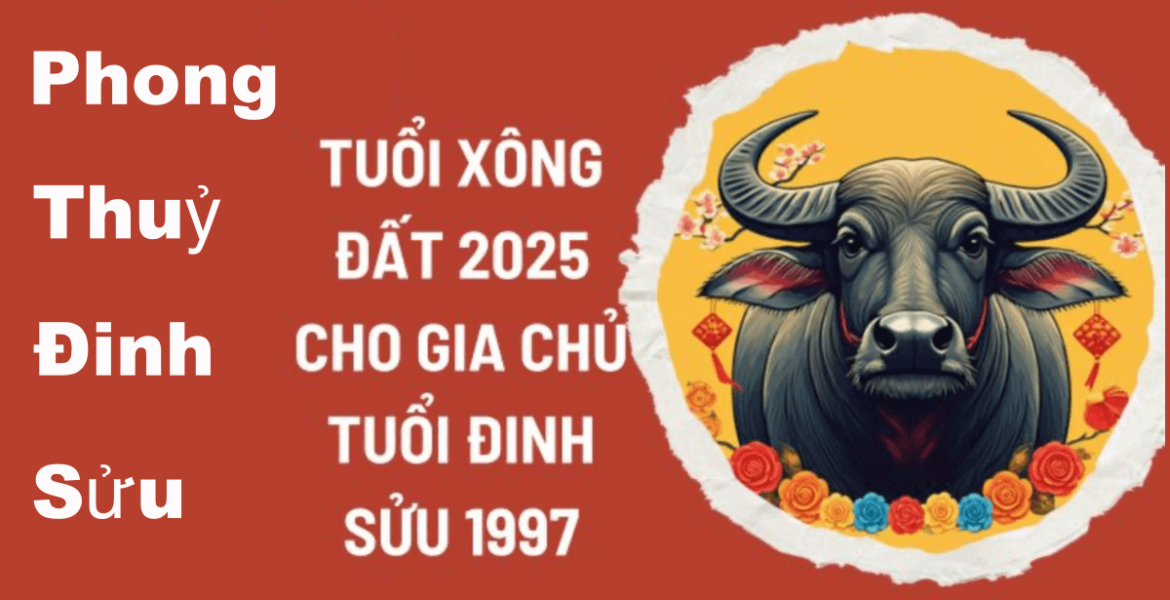 Tuổi xông đất cho gia chủ tuổi 1997 Đinh Sửu