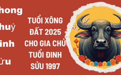 Tuổi xông đất cho gia chủ tuổi 1997 Đinh Sửu