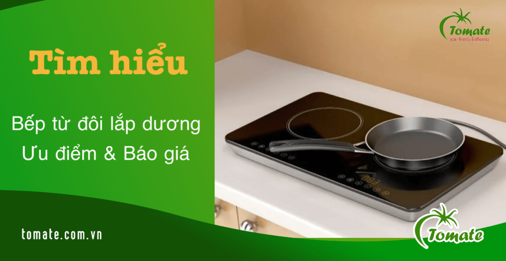 bếp từ đôi lắp dương giá rẻ