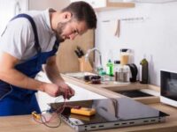 sửa chữa bếp từ electrolux